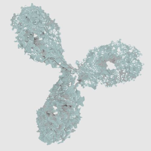 Bio Column Biochromatography Columns | BioLC Columns | YMC